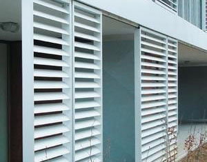 timg (3).jpg timg (3).jpg